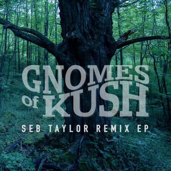 Seb Taylor Remix EP