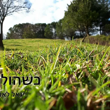 כשהולך ובא