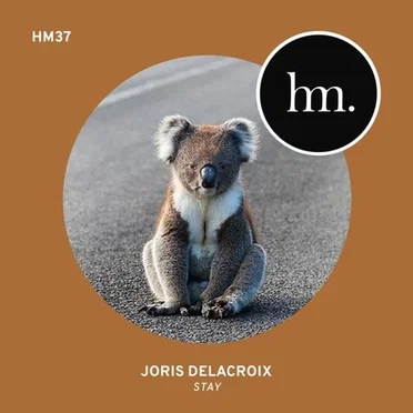 Stay by Joris Delacroix - album cover
