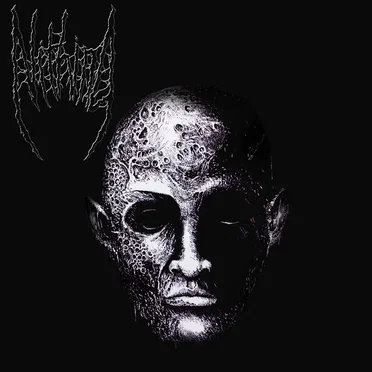 Fetid Reek of Interminable Existence by Nithing - album cover