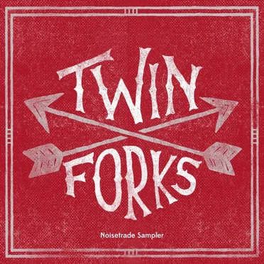 An Introduction to Twin Forks