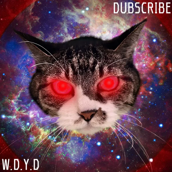 W.D.Y.D