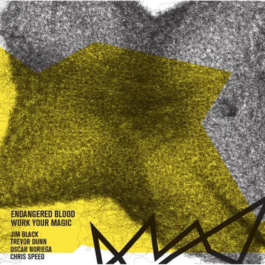 Work Your Magic by Endangered Blood - album cover