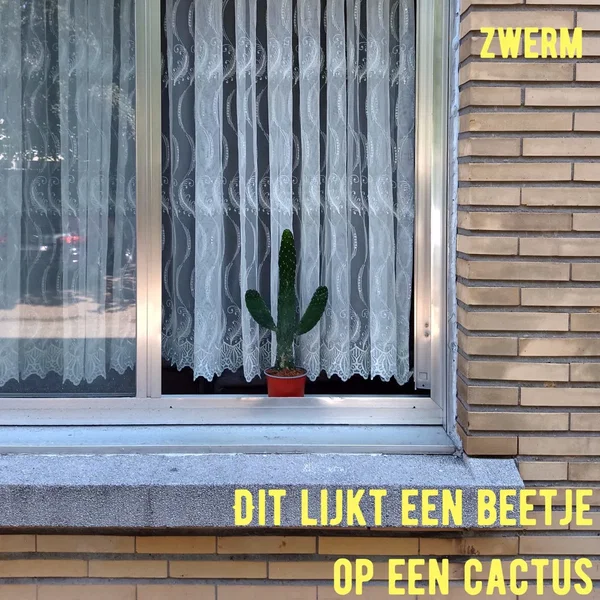 The music of 'Dit lijkt een beetje op een cactus'