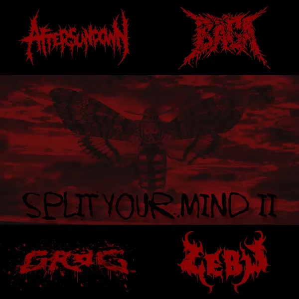Split Your Mind II