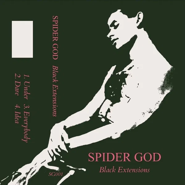 Black Extensions