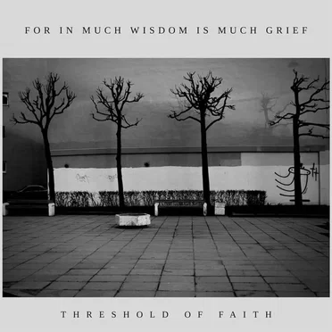 For in Much Wisdom Is Much Grief by threshold of faith - album cover