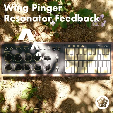 Wing Pinger Resonator Feedback