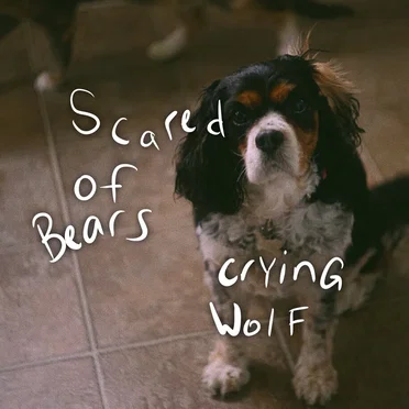 Crying Wolf
