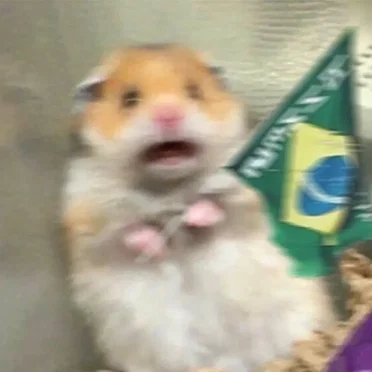 um montão