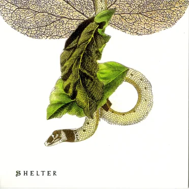 Shelter