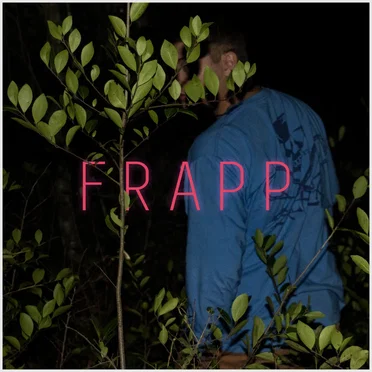 Shrooms by Frapp - album cover