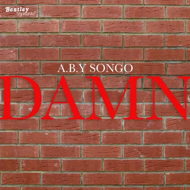 Damn by A.B.Y Songo - album cover