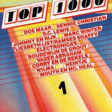 De 30 beste Nederlandstalige hits uit de Top 1000 by Various Artists - album cover