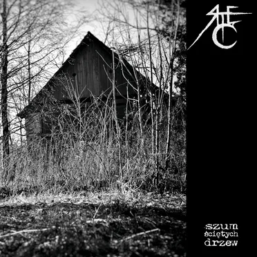 Szum ściętych drzew by Rtęć - album cover