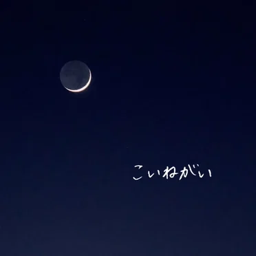 こいねがい