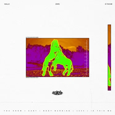 Body Burning by Niallo - album cover