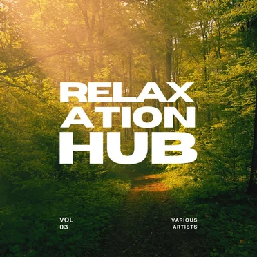 Relaxation Hub, Vol. 3 by Various Artists - album cover