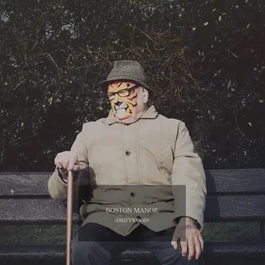 Driftwood by Boston Manor - album cover