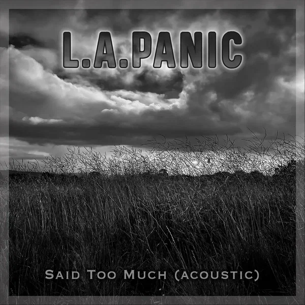 Said Too Much (acoustic)