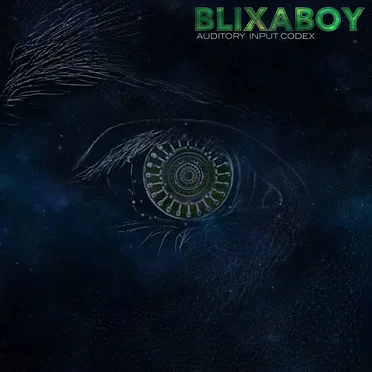 Auditory Input Codex