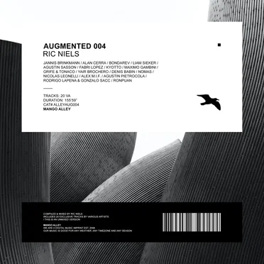 Augmented 004 / Ric Niels by Various Artists - album cover
