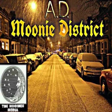 Moonie District