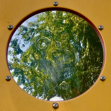 Gold Trees