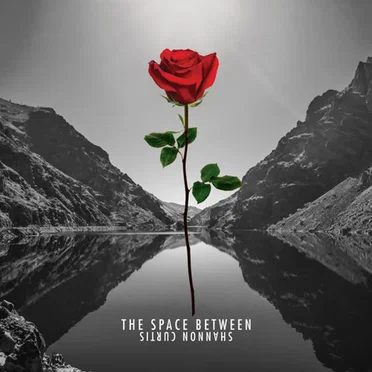 The Space Between by Shannon Curtis - album cover
