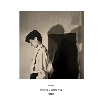 Polaroid 寶麗來 by Bitter Tea of General Yeng - album cover