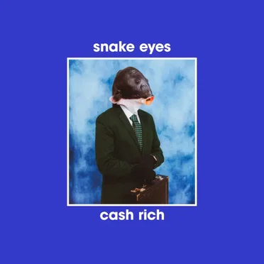 cash rich