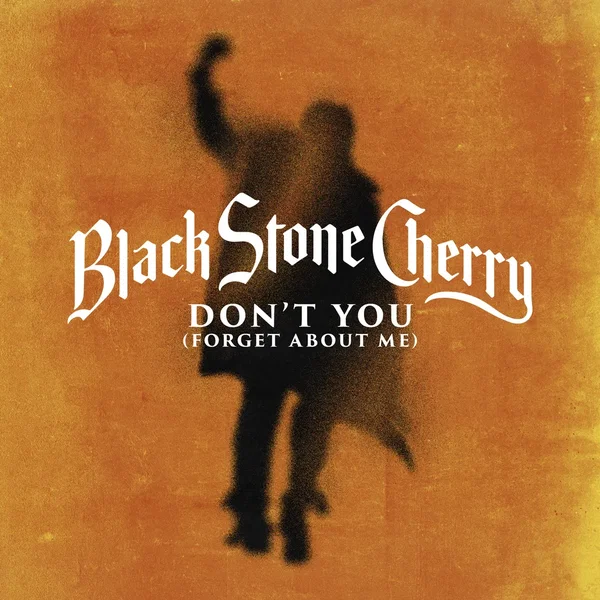 Don't You (Forget About Me)