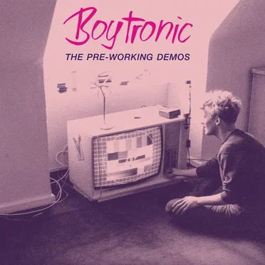 The Pre-Working Demos
