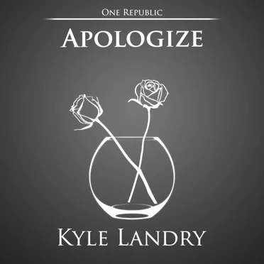 Apologize Variations