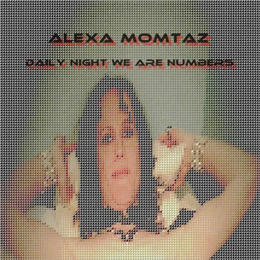 Daily Night We Are Numbers