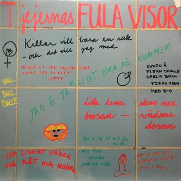 Tjejernas fula visor by Malin Rask - album cover