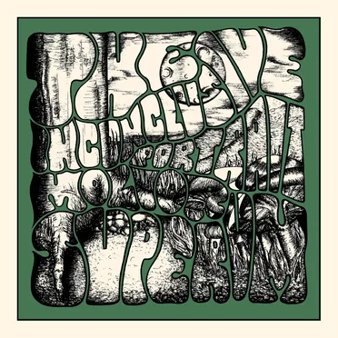 The Inconclusive Portrait by Molior Superum - album cover