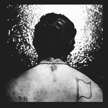 Wild Moth by Wild Moth - album cover