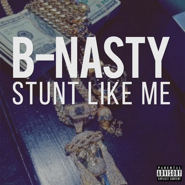 Stunt Like Me