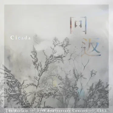 The Revisit: 15th Anniversary Live at Cloud Gate Theater