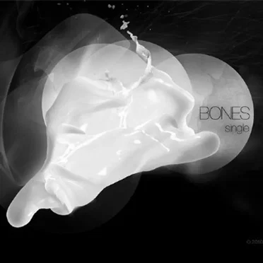 Bones by Data Romance - album cover