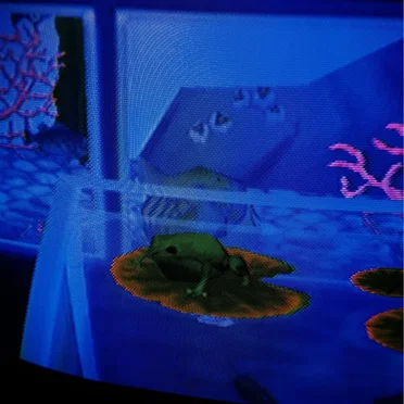 Riveting Ribbiting
