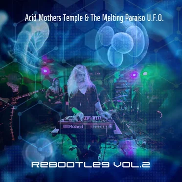 Rebootleg Vol.2