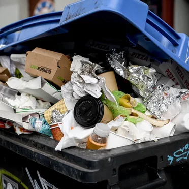 Pandemischer Trash by Mittel zum Zweck - album cover