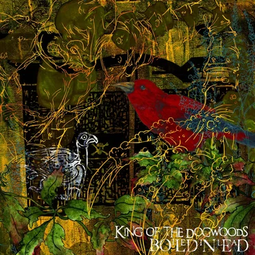 King of the Dogwoods