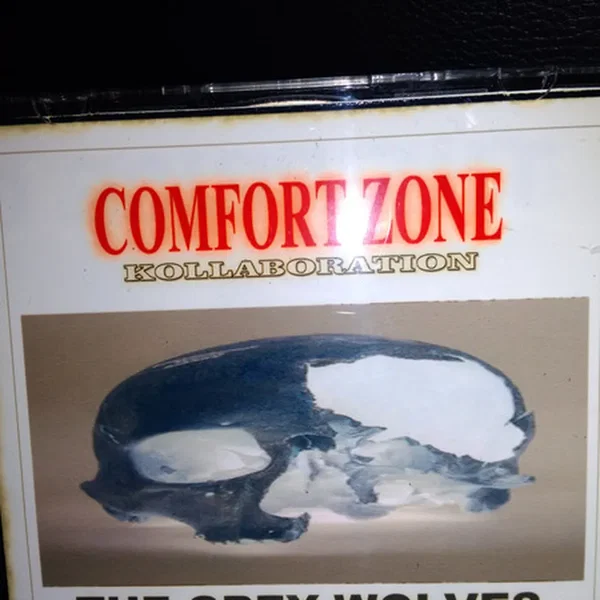 Comfort Zone Kollaboration