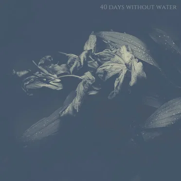 40 Days Without Water by 40 Days Without Water - album cover