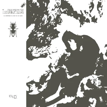 La Chronique Du Chat Et Du Chien