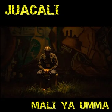 Mali Ya Umma