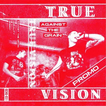 Promo 2016 by True Vision - album cover